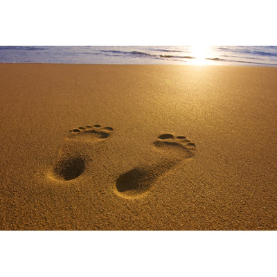 Footprints by DNY59 - Wrapped Canvas Print
