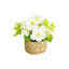 Jardinières de fleurs artificielles pour la décoration intérieure Salon Table de salle à manger Chambre à coucher Bureau Printemps Été Jardinières de fleurs artificielles-877254302