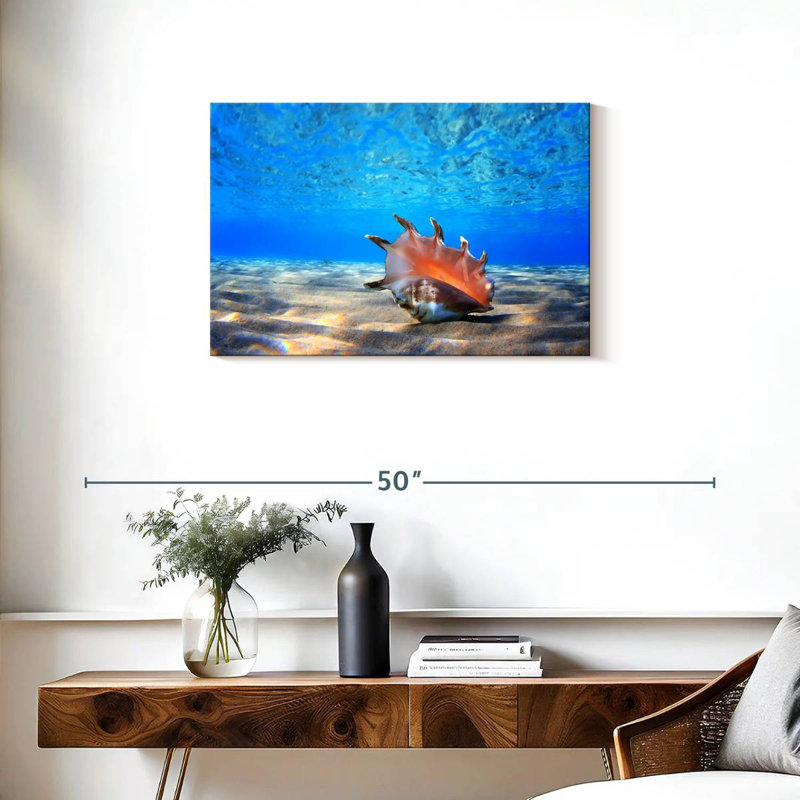Aletra Seashell Treasure, 20" H x 30" W