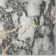Lyth Abstract Indoor Rug