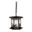 Luminaire suspendu de style lanterne noire à 1 lumière Haydel