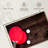 Sireci Table Tennis-107849437