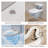 One-Piece Toilet With Ada Chair Height, High-Efficiency Map 1000G Flush, And Dual Flush 0.8/1.28 Gpf, Modern Toilet Bowl For 12" Rough-In