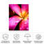 «Pink Over Yellow» sur toile par Rotem Ganor-3609