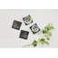 4 Square Slate Coasters with Bee Design