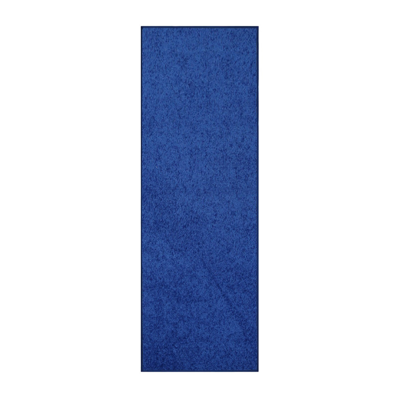 Modern Plush Pet and Kids Friendly Solid Color Neon Blue Area Rugs, Stain & Fade Resistance, Perfect for Living Room, Dining Room, Bedroom, Playroom and Kidsroom, Event, Wedding, Amberlie Rug
