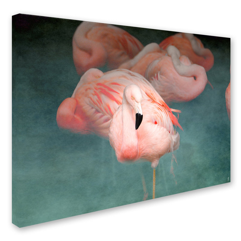 Vidur «Pink Flamingo 1», impression sur toile tendue, H 35 po x l 47 po