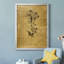 Ameelya, croquis dorés botaniques II, impression sur toile encadrée-1749385595-1749385588