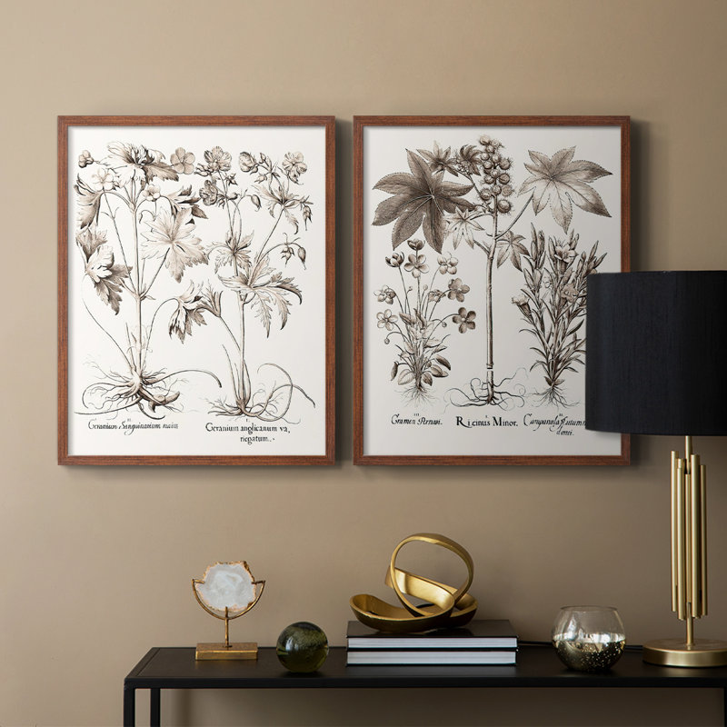 Impression encadrée sépia Besler Botanicals V-Premium - prête à être accrochée - aucun clou requis - aucun clou requis, Noyer
