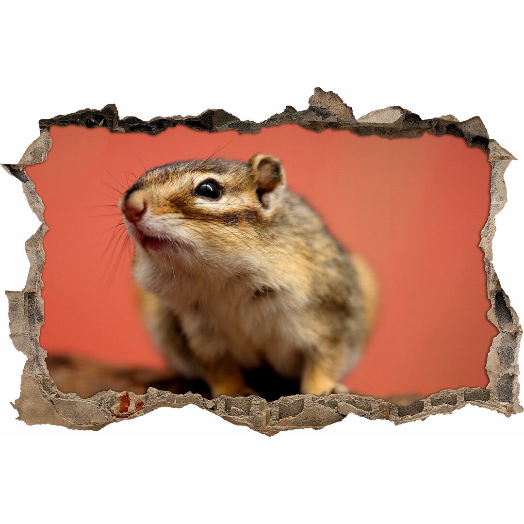 Niedlicher Chipmunk Wandaufkleber