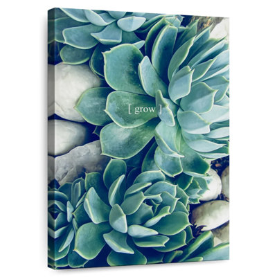 Harnek Grow Calm II