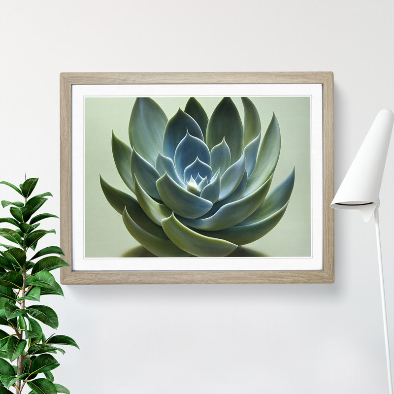 Graceful Succulent Plant - Single Picture Frame Print, Oak Framed, 46cm H x 64cm W x 2cm D
