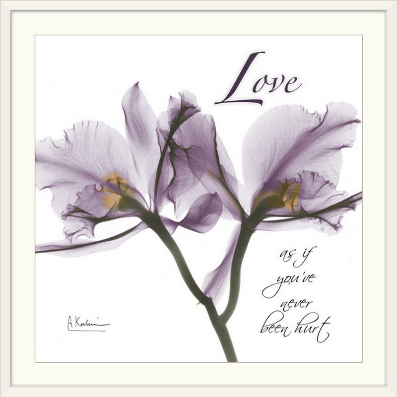 «Orchid Love X-Ray» par Albert Koetsier, reproduction de photo, H 20" x l 20" x P 1", Cadre blanc