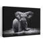 «Majestic Elephant In Water», art mural contemporain-757566578