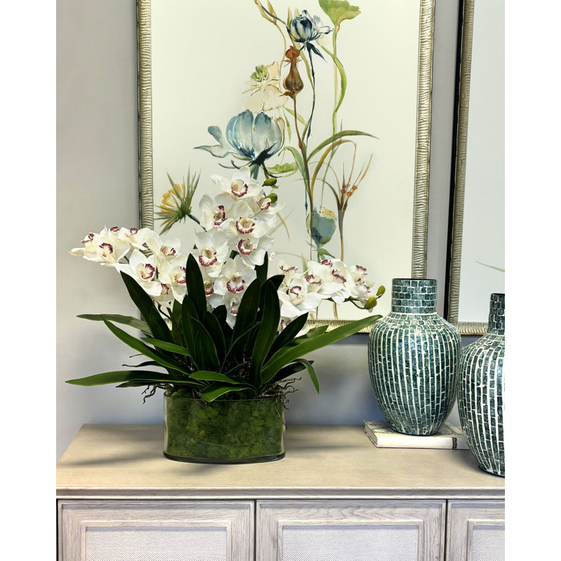 Faux Orchids in Glass Vase with Moss
