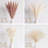 17.72'' Faux Pampas Grass Grass