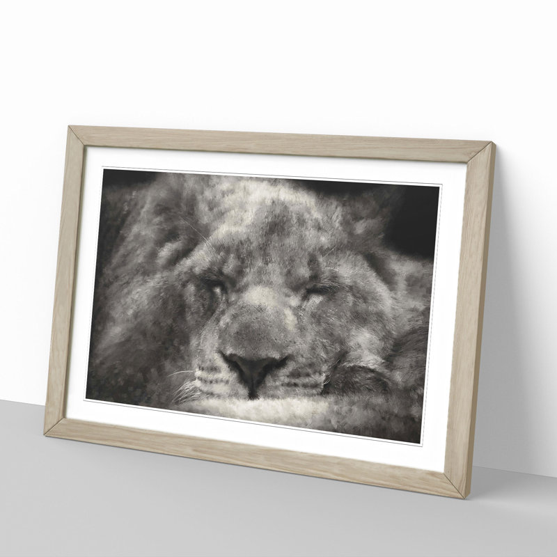 Lion Vol.2 - Picture Frame Graphic Art, Oak Framed, 48cm H x 65cm W x 2cm D