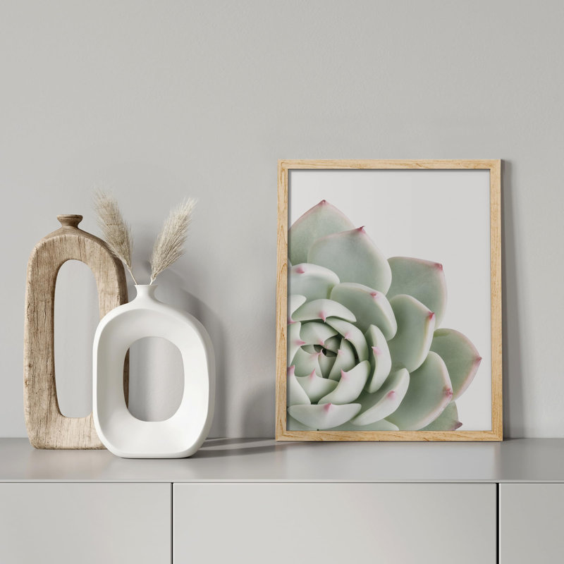 «Cactus Succulent Close Up Echeveria Red Tip White» sur papier, Naturel, H 14 po x l 11 po