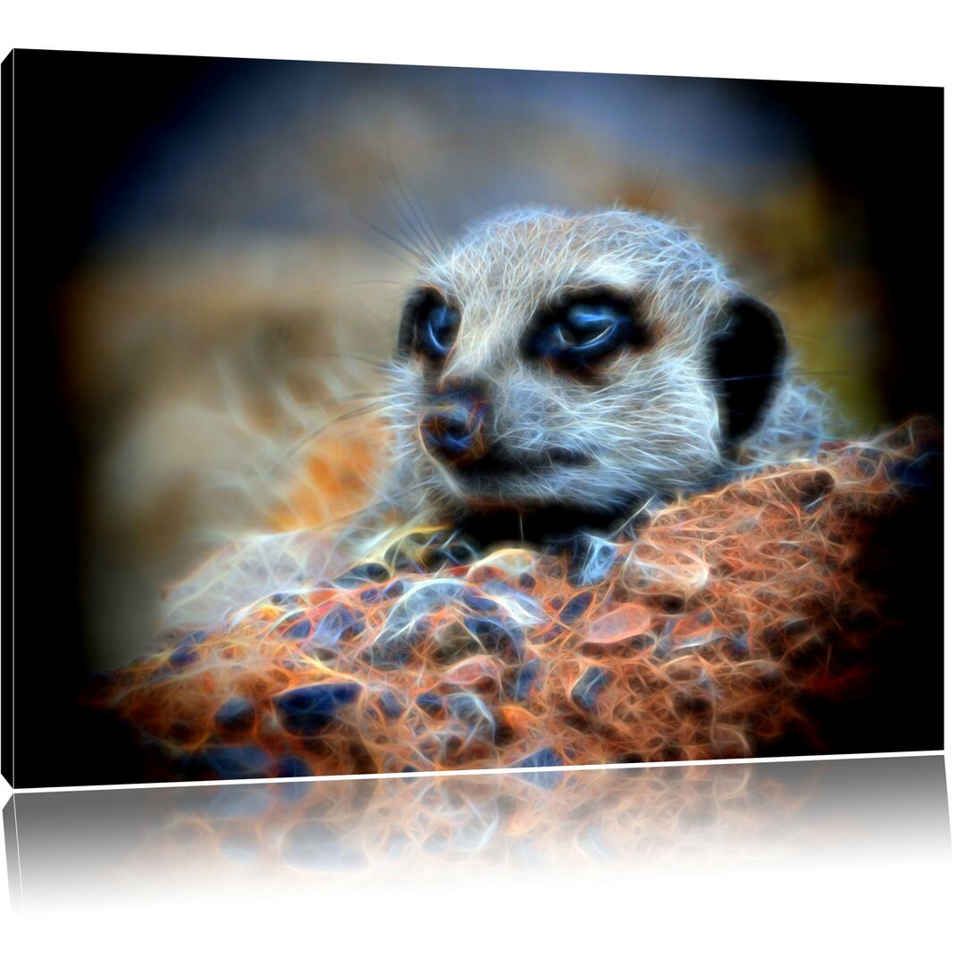 Leinwandbild Erdmännchen auf Steinboden