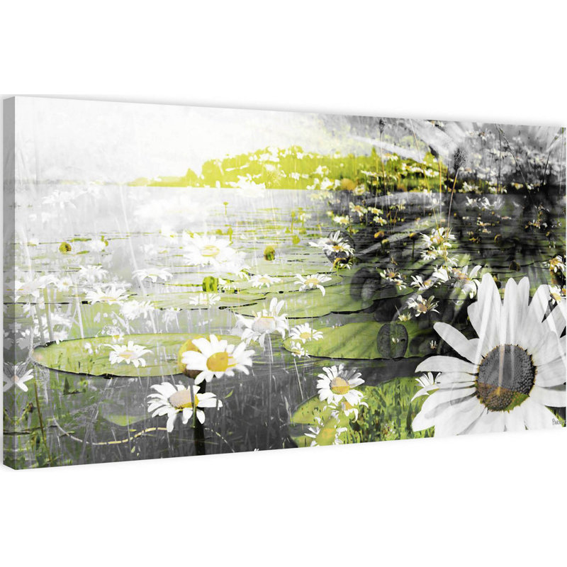 Parvez Taj - Wrapped Canvas Print, 30cm H x 61cm W