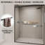 Porte de douche coulissante double sophistiquée pour la salle de bain, améliorant l'expérience de la douche