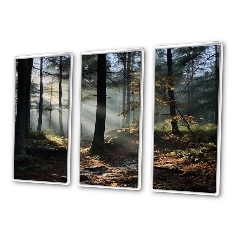 Forêt de pin, paysage d'automne, ensemble d'art mural, H 28 po x l 36 po x P 1 po, Cadre flottant blanc