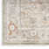 Millyr Washable Oriental Rug