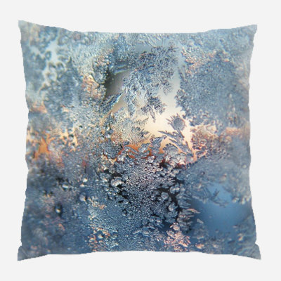  Frost Indoor/Outdoor Canvas Throw Pillow