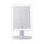 Annandale Flat Floor Mirror