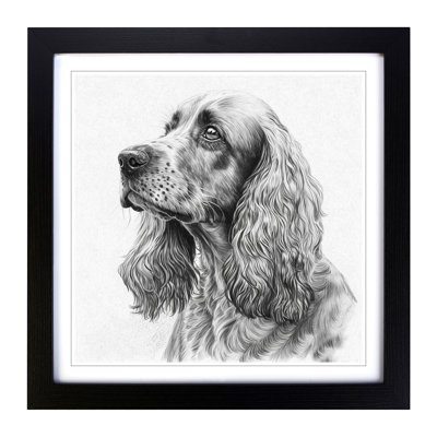 Cocker Spaniel Drawing - Framed Print