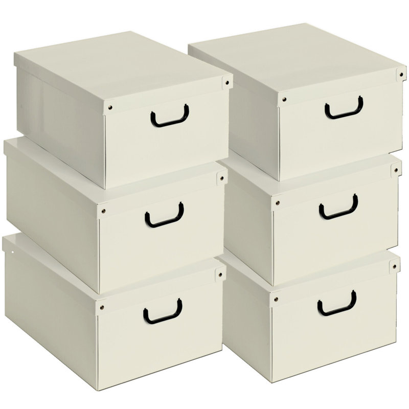 Storage Box: 6pk Large - Beige, Beige