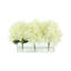 Hydrangeas Arranged in Clear Glass Vase-1541245386