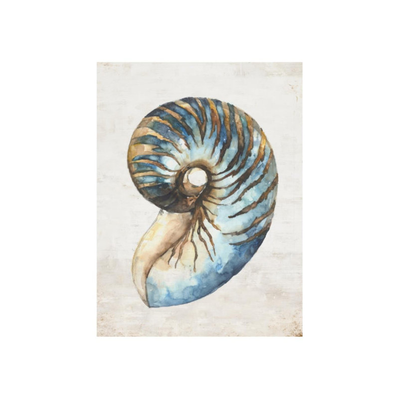 Shell Compilation III Print by Beverly Fuller, 48" H x 36" W x 1.5" D, Glass Coat
