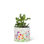 Moriarty Clay Indoor / Outdoor Cachepot