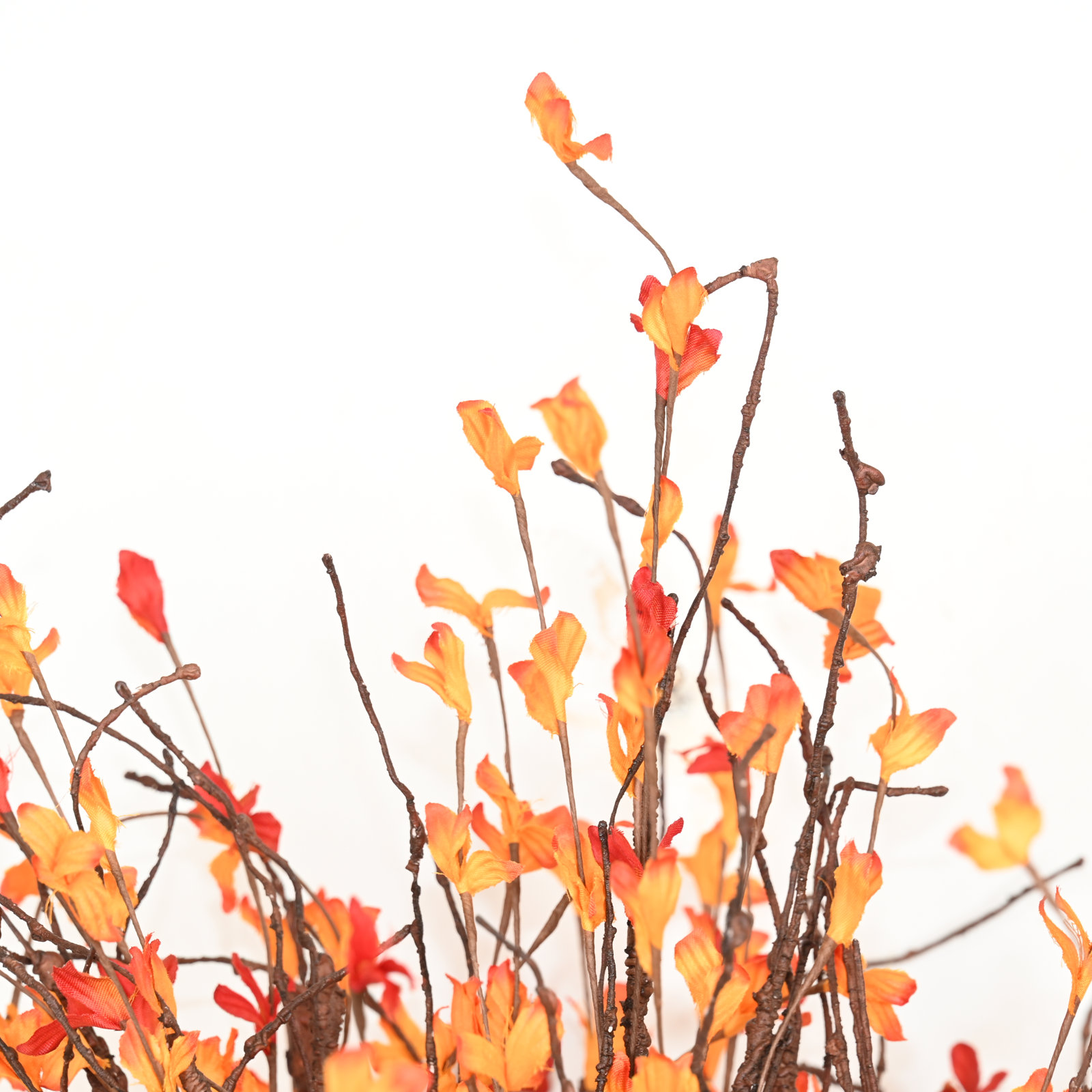 Wood Twig Stems, Orange