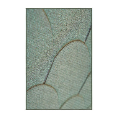 Tapis vert clair/gris à motifs