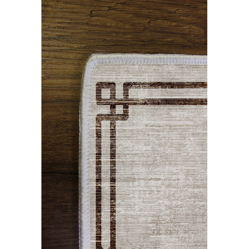 Premium Antibacterial Area Rug, Grey, 23.6 x 39.4 inches | 100% Polyester, 650 gr/m², 0.16 in Pile Height | Eco-Friendly, Non-Slip PVC Dot Underside, Machine Washable | Perfect for Home Decor & High-Traffic Areas