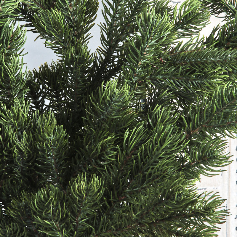 Choix de branches de pin délavé natursimilaires