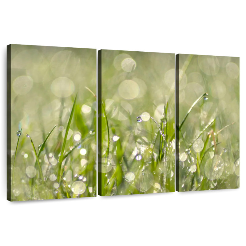 Harnek Raindrops On Grass Abstract, 42" H x 65" W