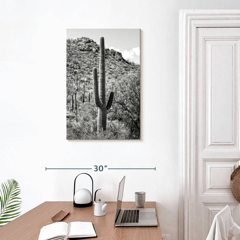 Harnek Black Arizona - Cactus Hill I, 30" H x 20" W