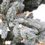 7.5' Lighted Artificial Fir Christmas Tree