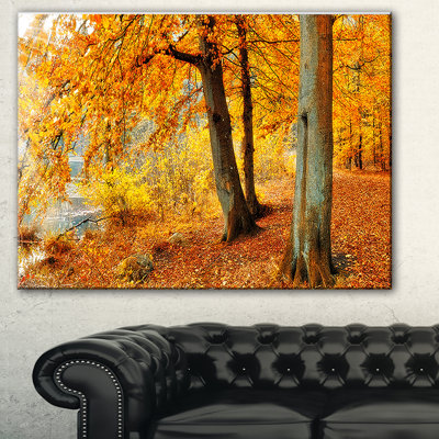 " Yellow Forest Of Autumn "