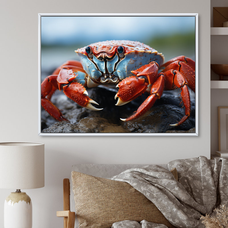 Crab Coastal Guardian sur toile, Cadre photo blanc, H 30 po x l 40 po