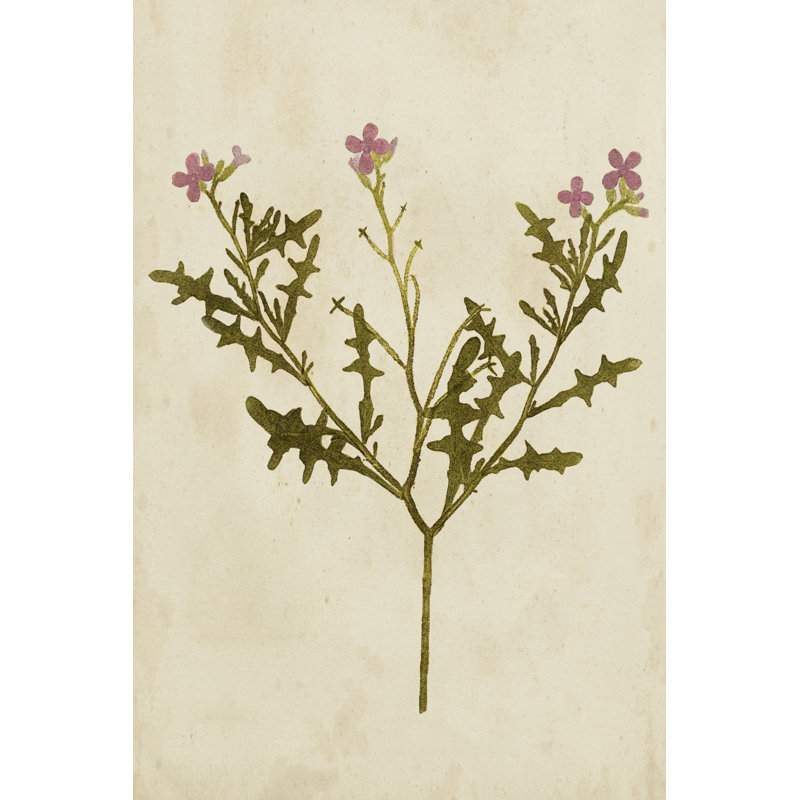 «Botanical Impression VI», peinture sur toile, H 48 po x l 32 po