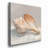 " Impressionist Shell Study III "-834918721
