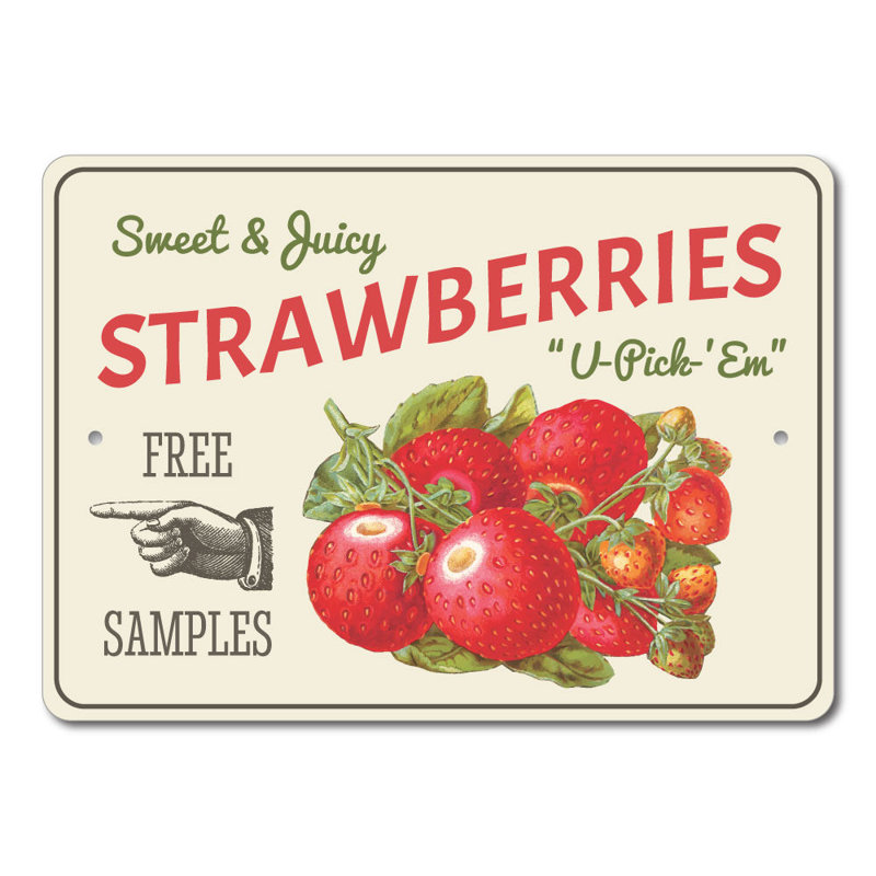 Plaque en aluminium fraises, H 10 po x l 14 po x P 0,04 po