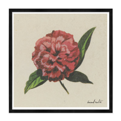 Pink Blossom Print