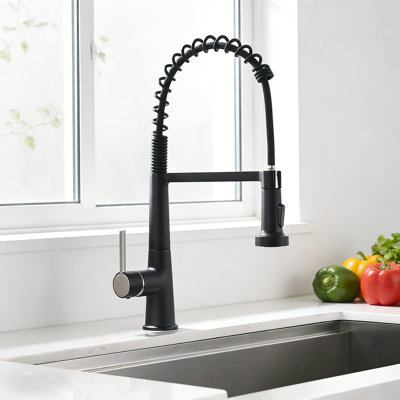 Kitchen Sink Faucet With Pull Down Sprayer,Dual Function Stream And Spray Modes