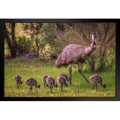 Emu And Seven Babies Australia Photo Photograph Cute Bird Pictures Wall Decor Beautiful Art Wall Decor Feather Prints Wall Art Nature Wildlife Animal -  Latitude RunÂ®, 3BDD655F7E934129A096F457F817CD61