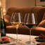 Verres à vin rouges 16 oz.